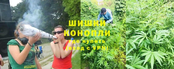 PSILOCYBIN Верхний Тагил